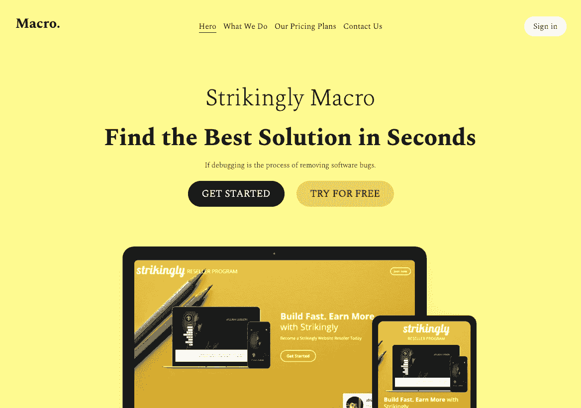Makro Szablon Strony Internetowej od Strikingly