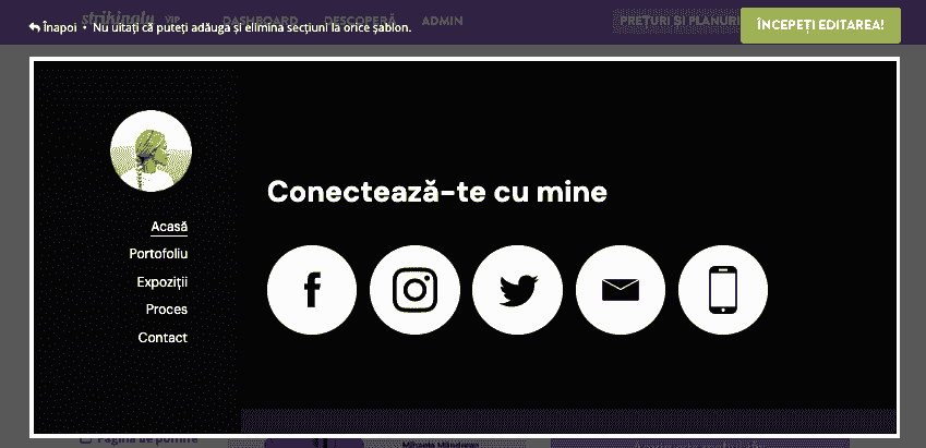 Integrarea social media