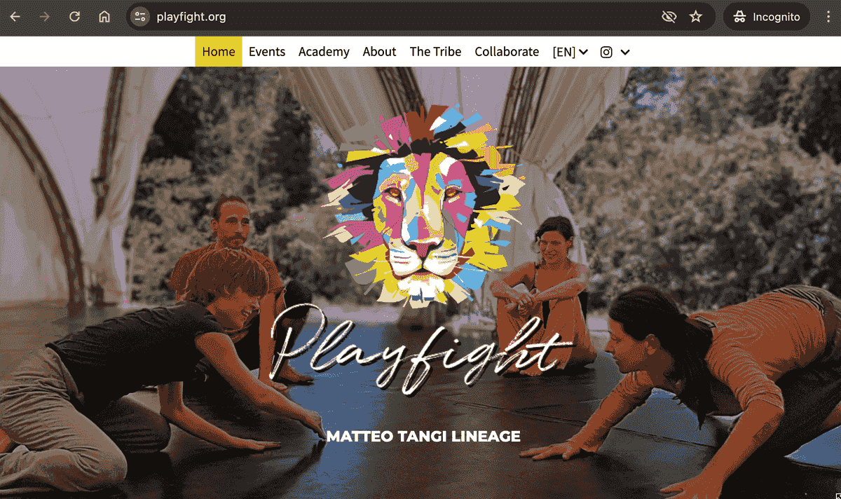 Nombre de dominio y alojamiento de PlayFight con Strikingly