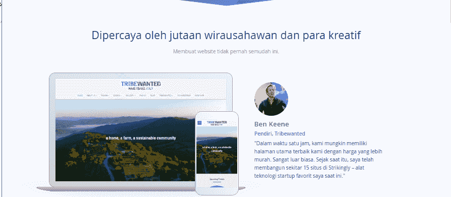 Konversi Seluler Strikingly