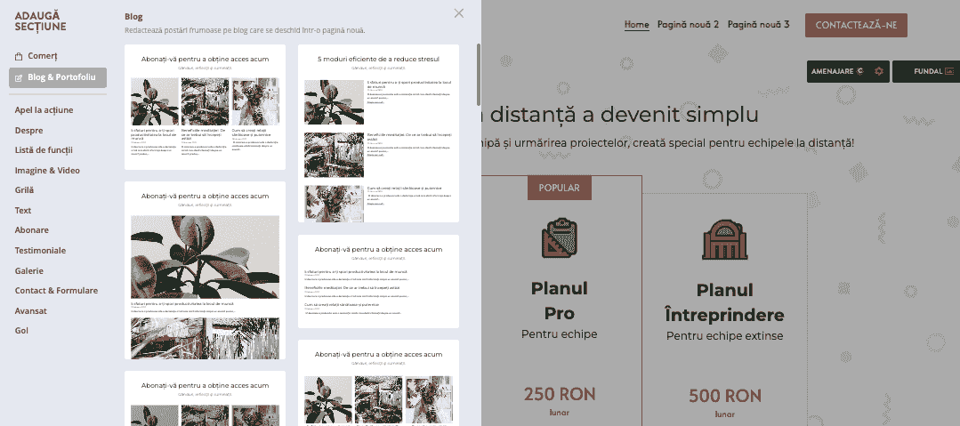 Selectare secțiune Blog