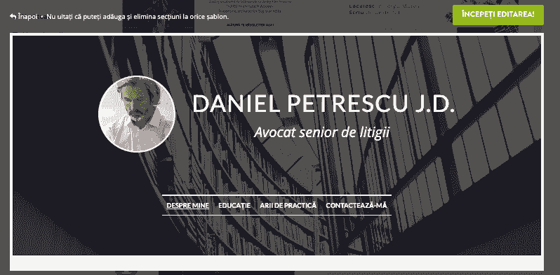 Portofoliu profesional