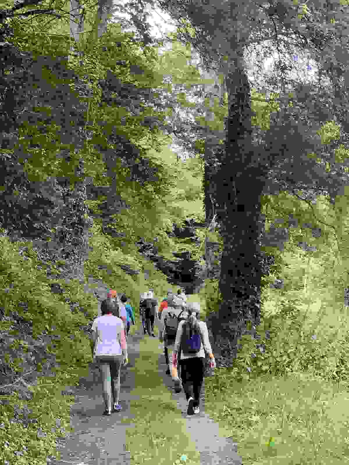 Section image