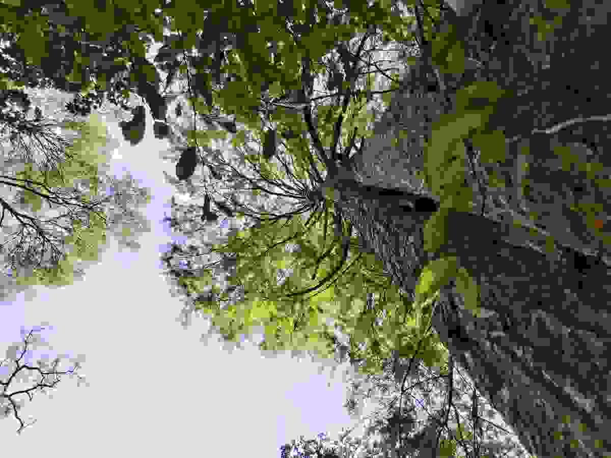 Section image