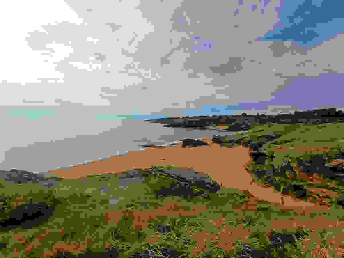 Section image