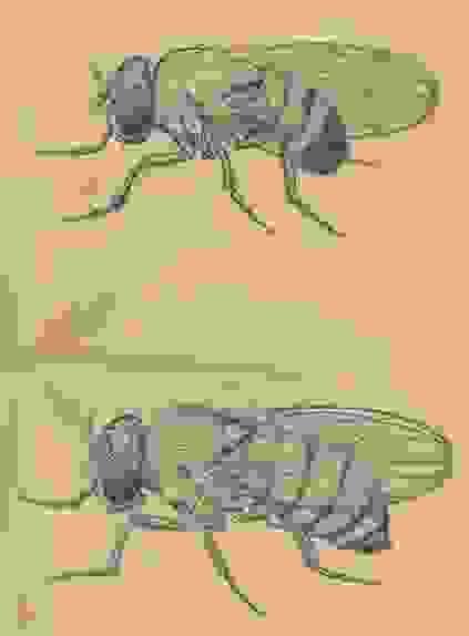 broken image