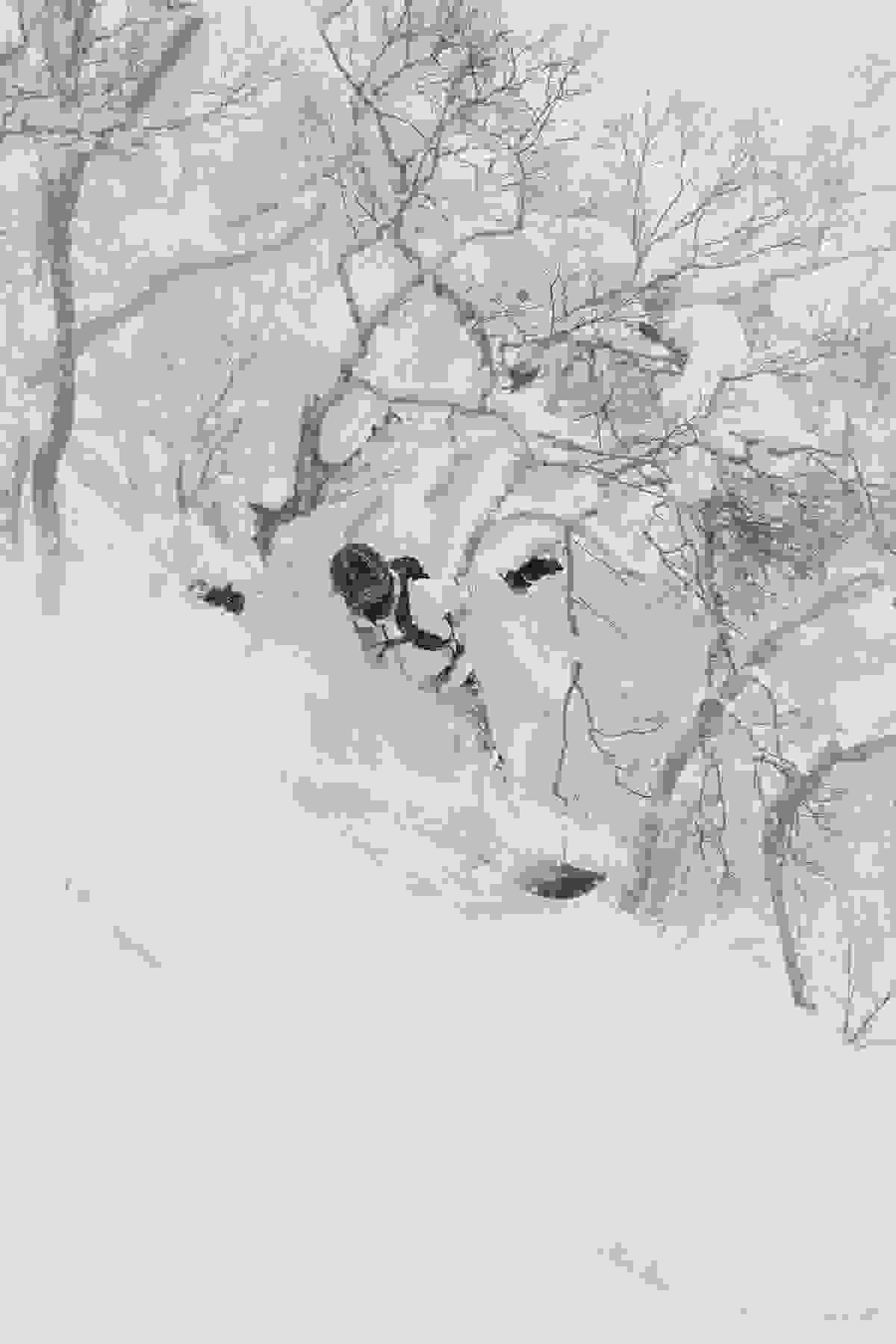 Section image