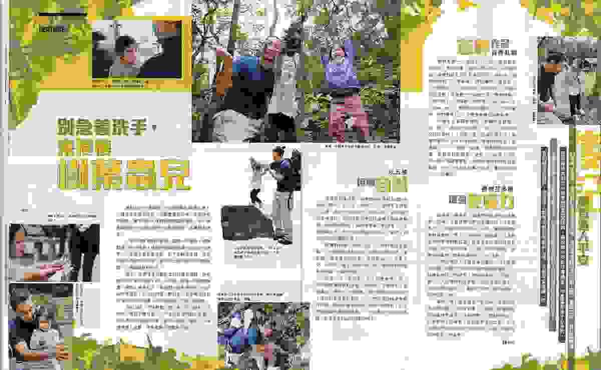 Section image