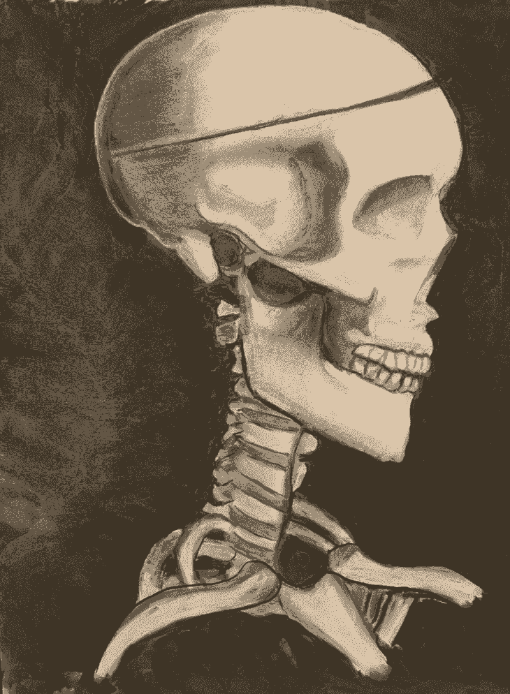 Section image
