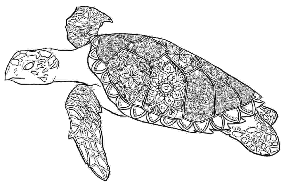 Section image