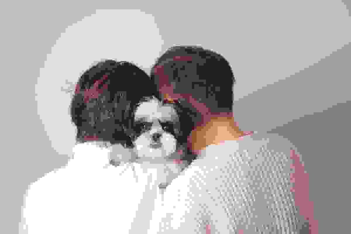 broken image