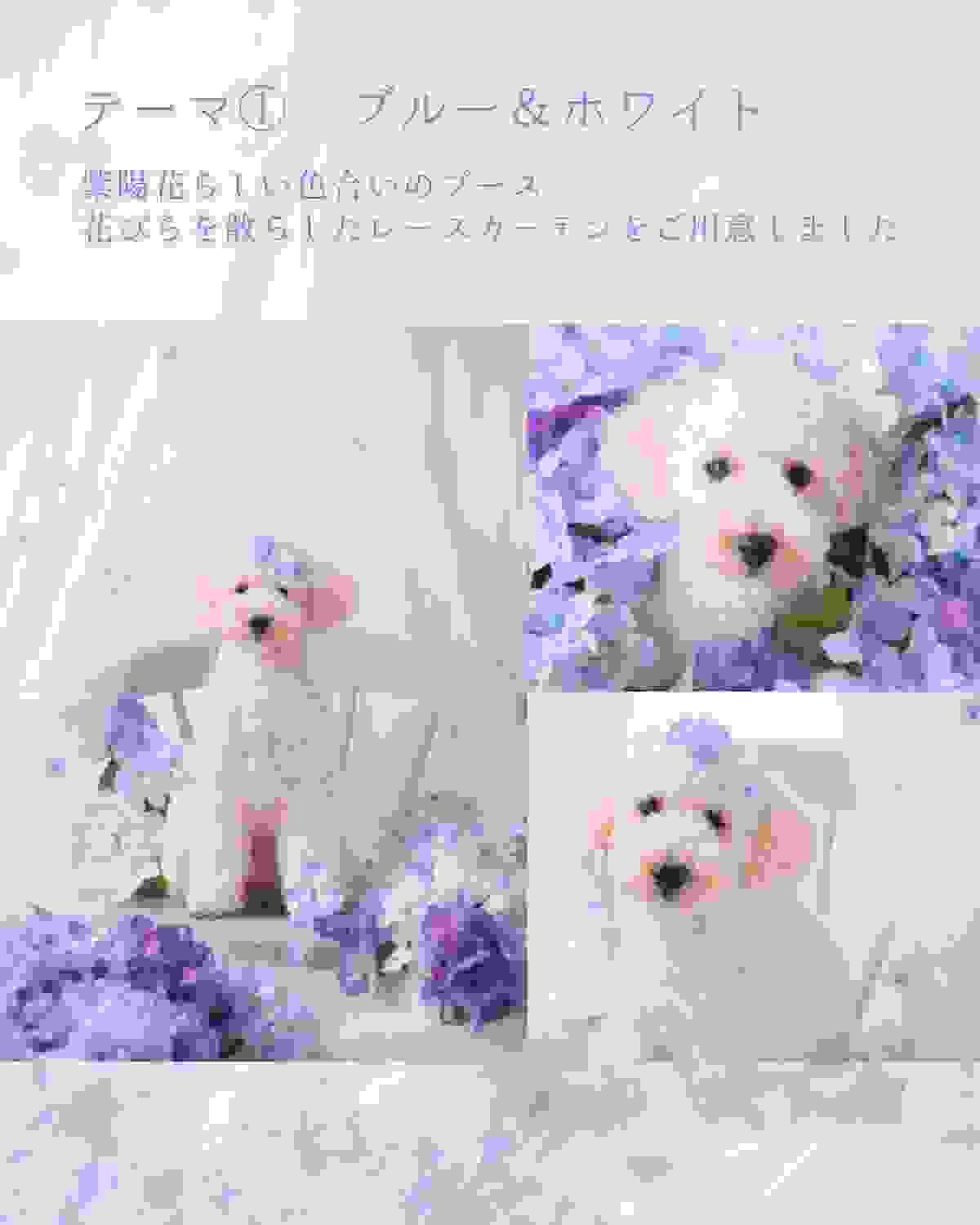 broken image