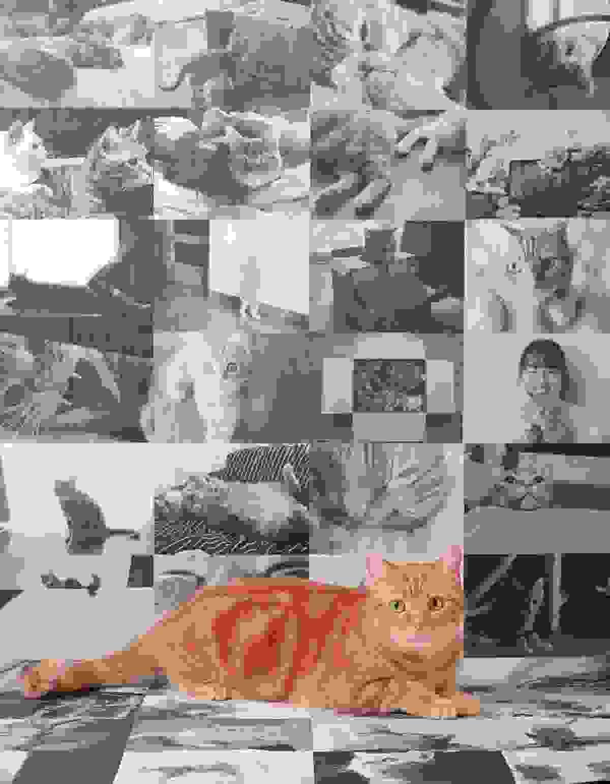 Section image