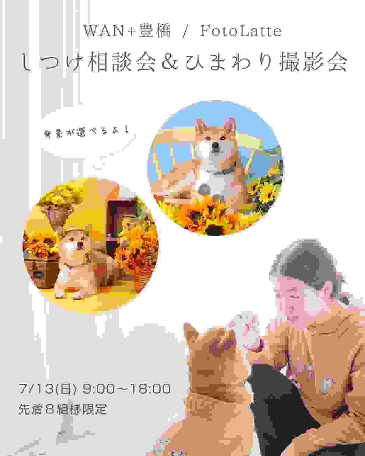 broken image