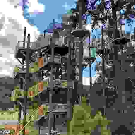 broken image