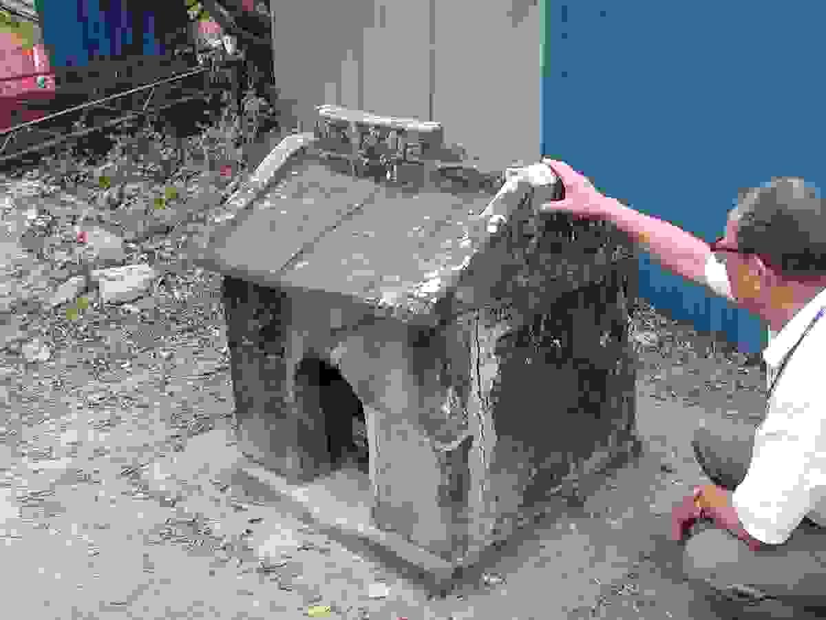 Section image