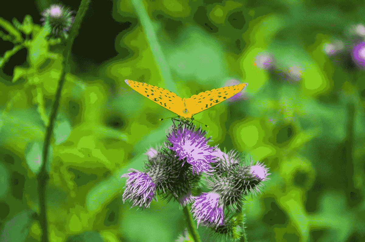 Discover our personalized energy treatments! Reconnect to your inner light I am an energy healer and frequency channeler, and I offer individual and group energy healing sessions that allow you to reconnect with your inner light, your soul. I use Light Languages, channeled chanting, and my hands to transmute knots and blockages in order to harmonize the subtle energy bodies. You can find inspiration on this page: https://www.au-mieux-etre-lemans.com/author/marieleclercqbutruille/ Discover our personalized energy treatments! Reconnect to your inner light I am an energy healer and frequency channeler, and I offer individual and group energy healing sessions that allow you to reconnect with your inner light, your soul. I use Light Languages, channeled chanting, and my hands to transmute knots and blockages in order to harmonize the subtle energy bodies. You can find inspiration on this page: https://www.au-mieux-etre-lemans.com/author/marieleclercqbutruille/