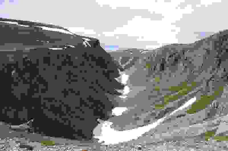 Section image