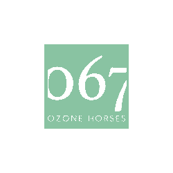 067 conseil en stratégie marketing e-commerce, SEO e-commerce, Migration Shopify 067 conseil en stratégie marketing e-commerce, SEO e-commerce, Migration Shopify