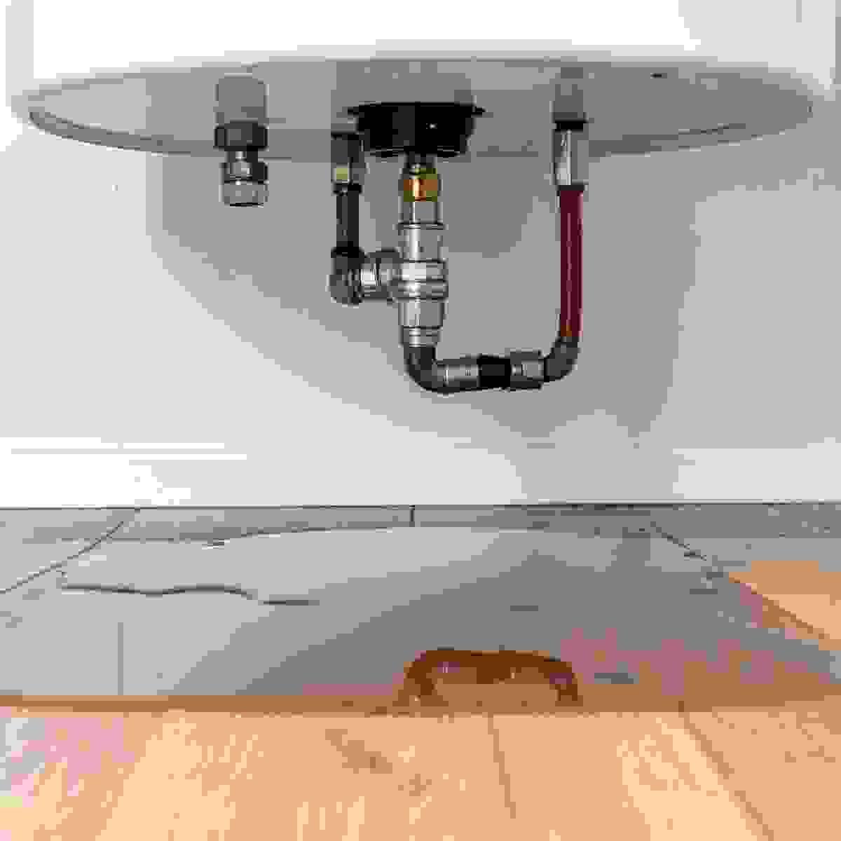 broken image