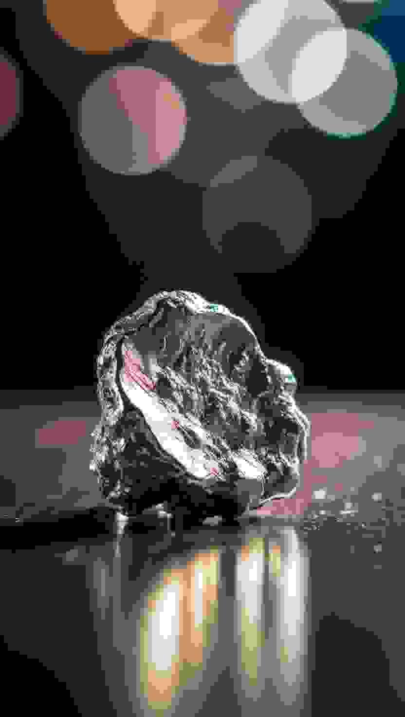 Section image