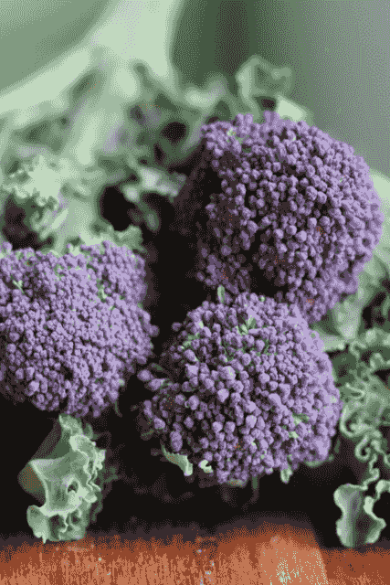 MarBran and Noon International Mexican Street Corn MarBran and Noon International Mexican Street Corn