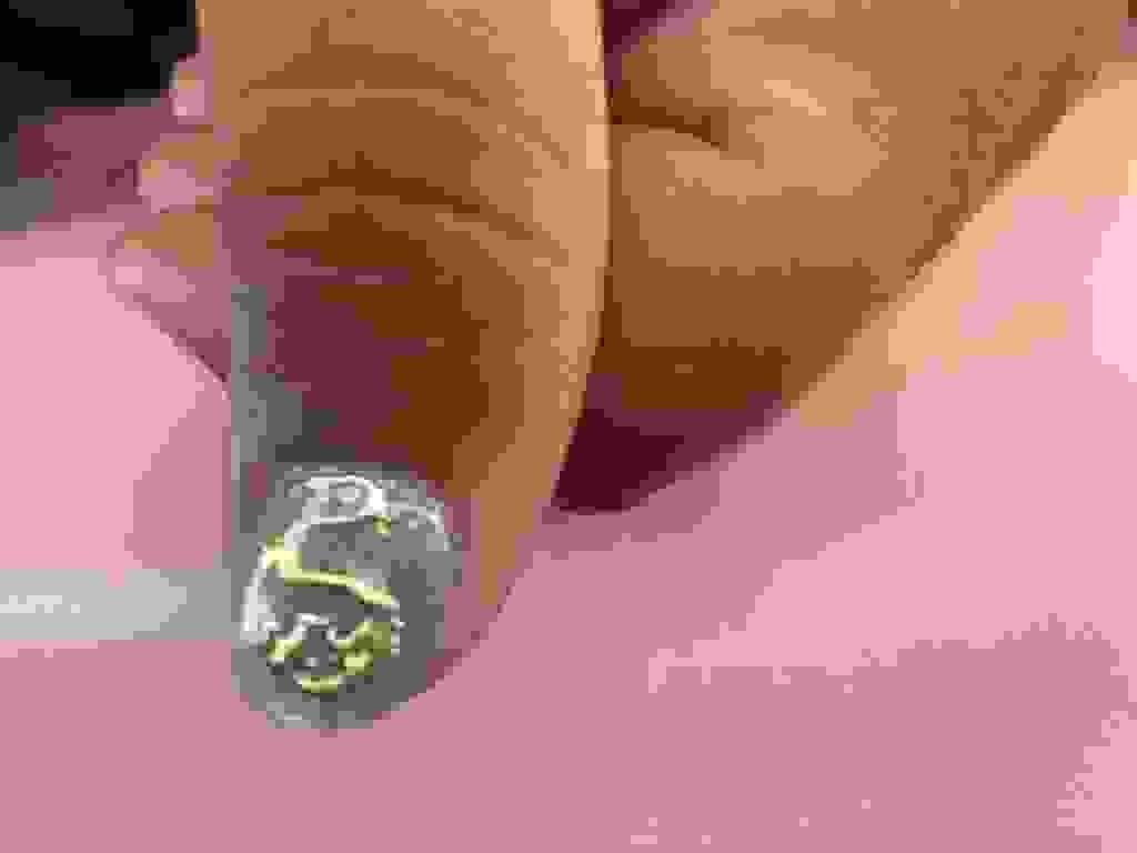 broken image