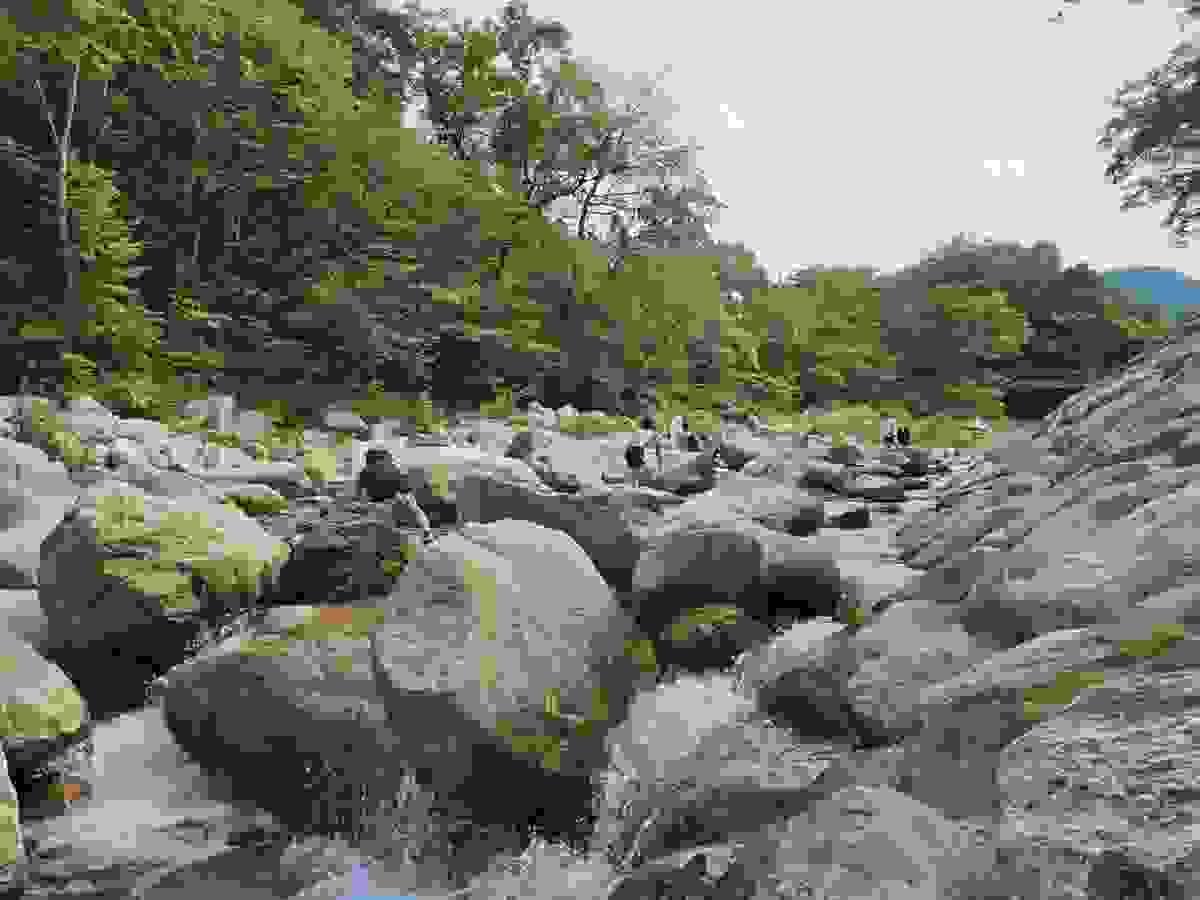 Section image