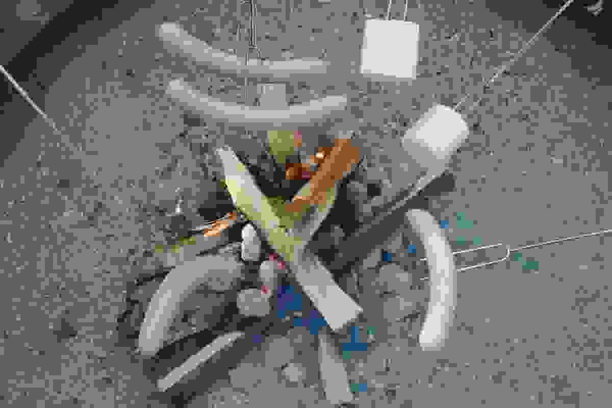 Section image