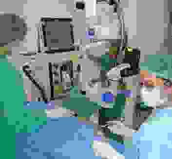 Section image