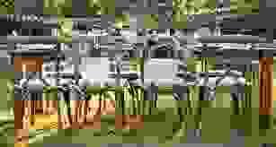 broken image