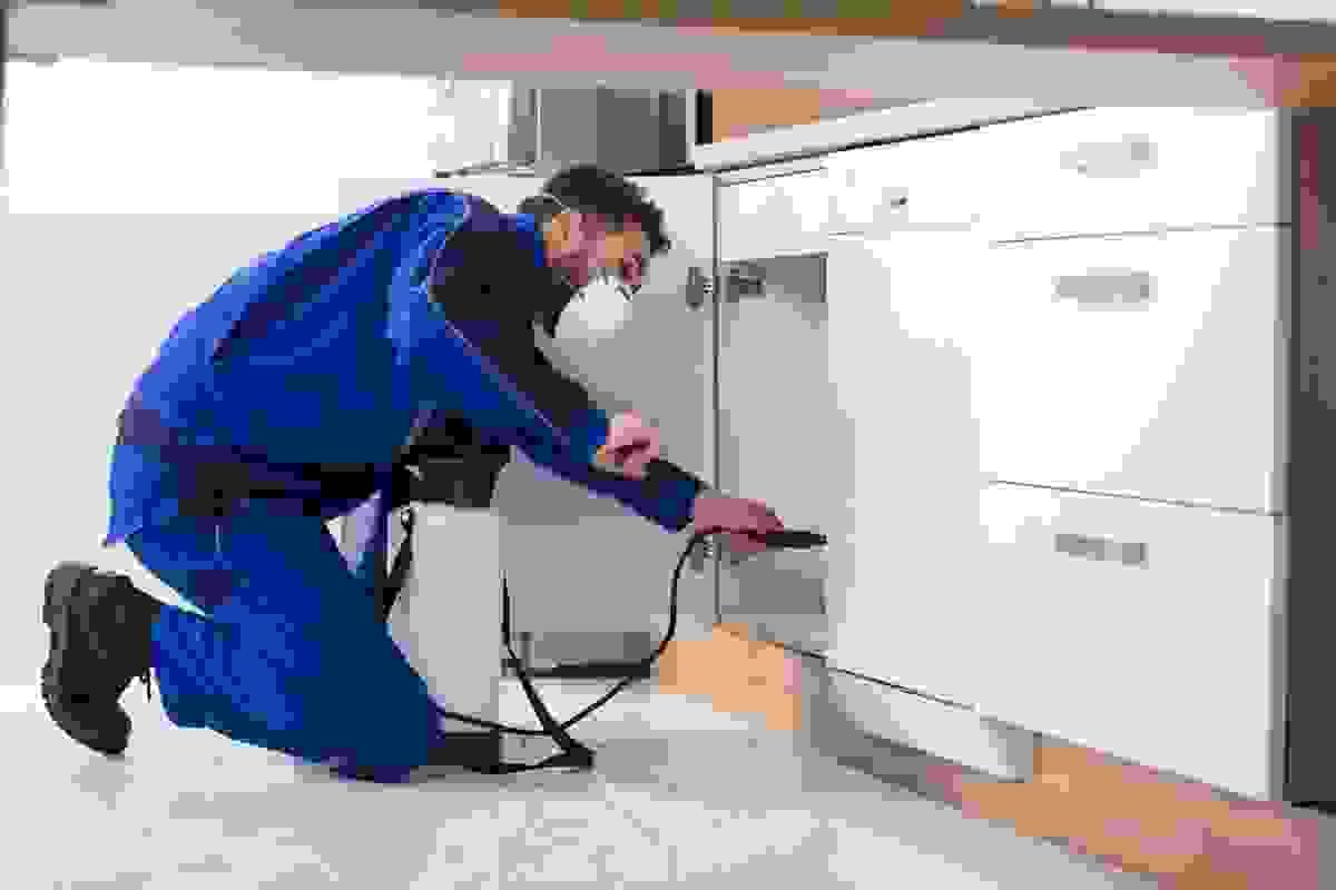 broken image