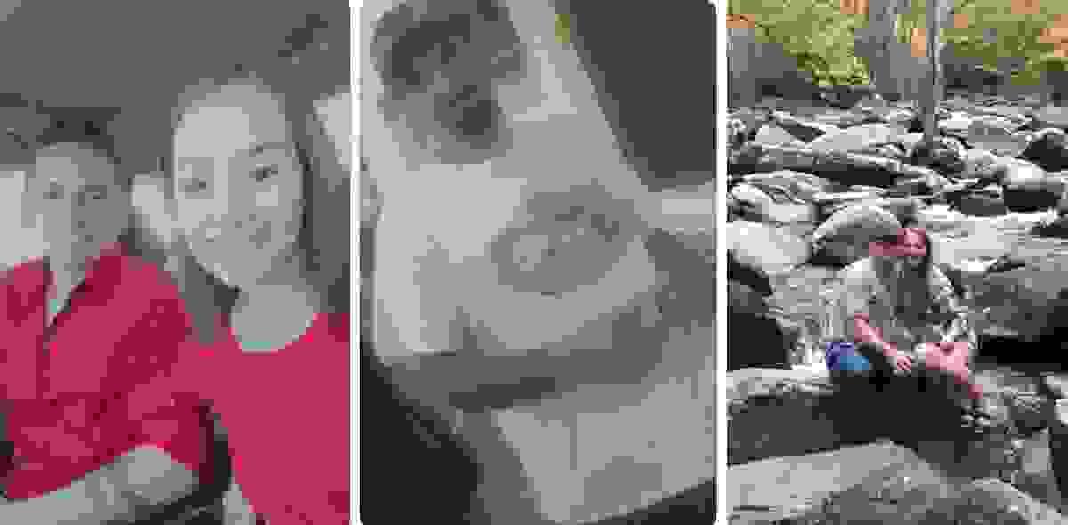 Section image