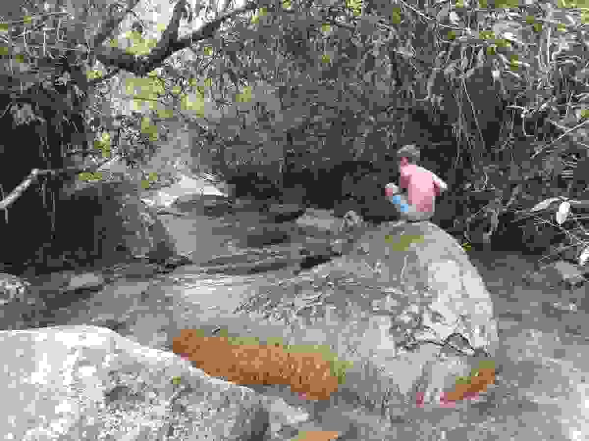 Section image