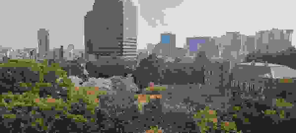 Section image