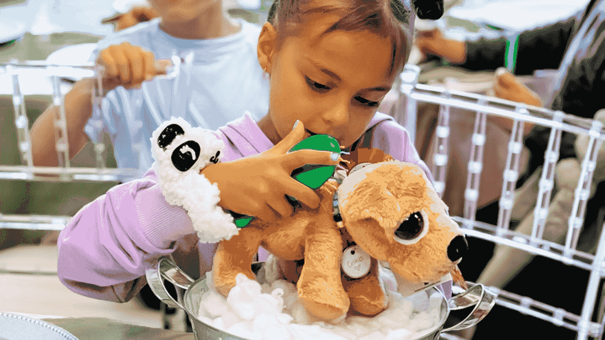 Puppy Theme Kitty Birthday Party Edmonton Adopt a Stuffed Puppy Birthday Party Package Puppy Theme Kitty Birthday Party Edmonton Adopt a Stuffed Puppy Birthday Party Package