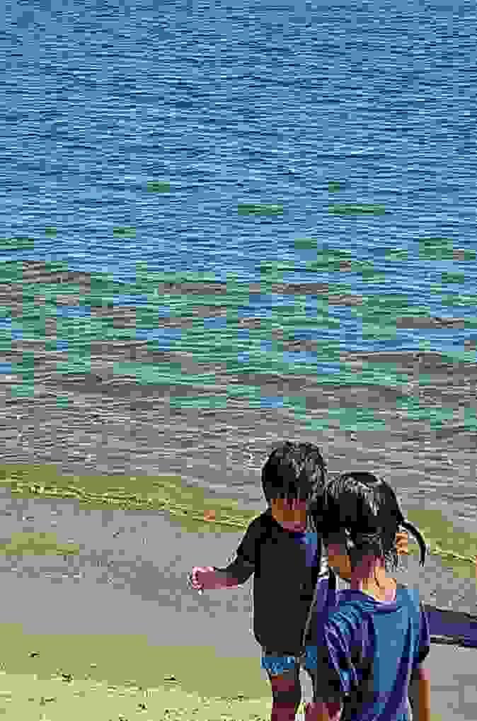 broken image