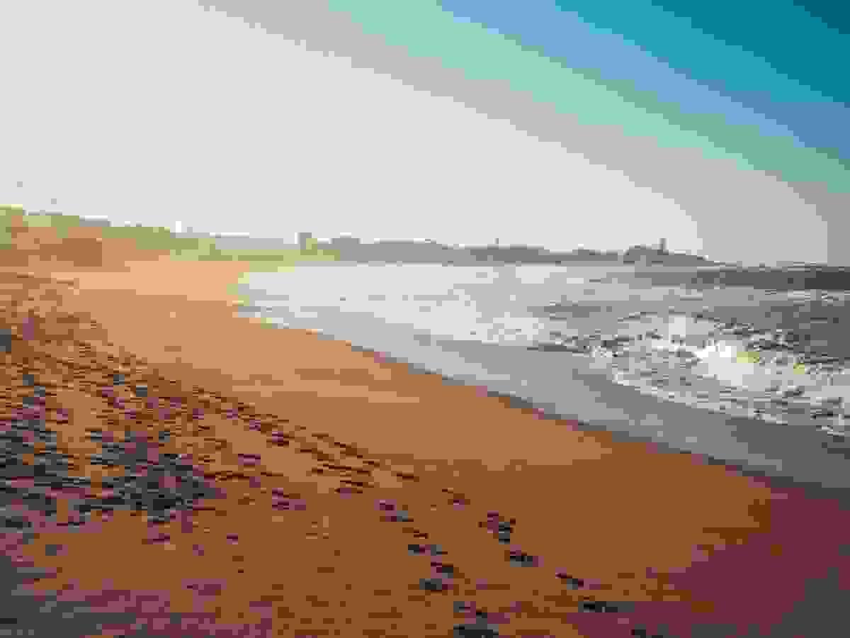 Section image