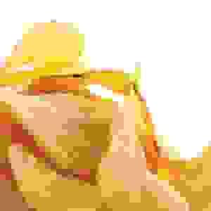 broken image
