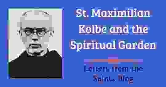 Saint Maximilian Kolbe and the Spiritual Garden  from Letters from the Saints Blog with an image of Saint Maximilian Kolbe