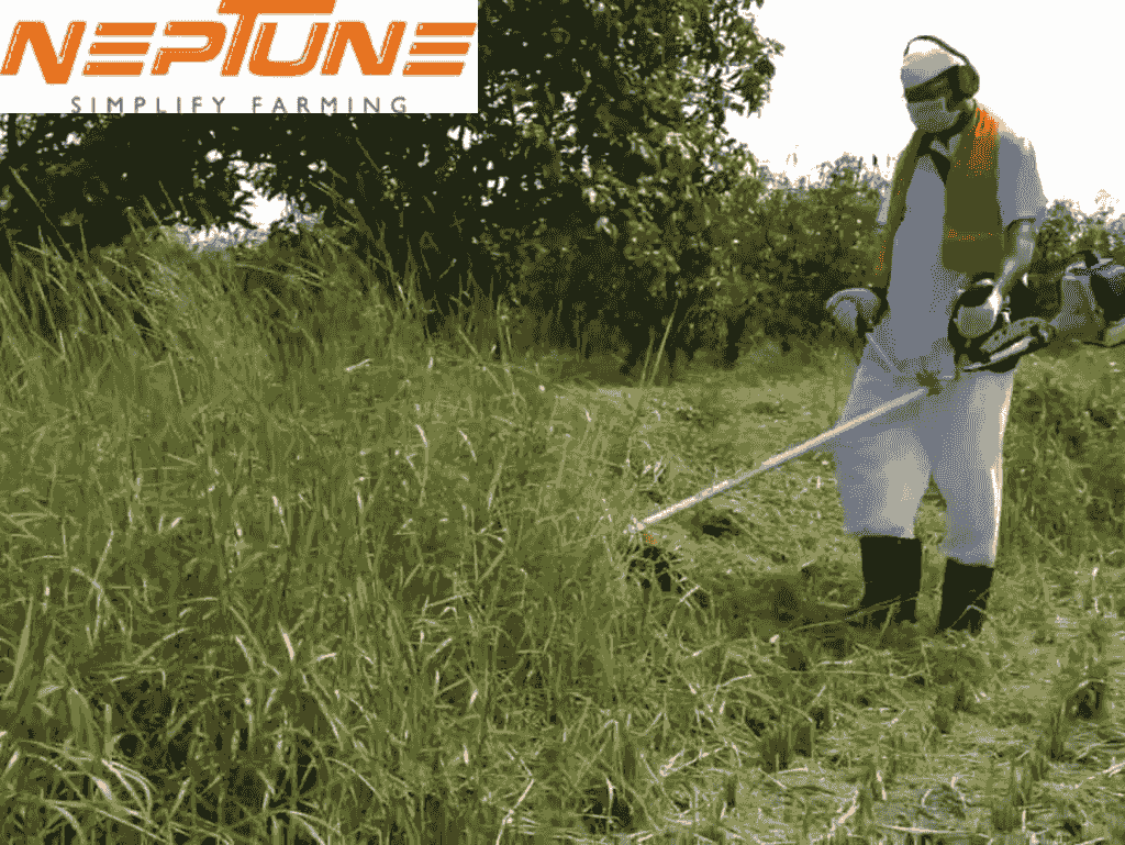 Brush Cutter Electric: The Secret to Taming Overgrown Y...