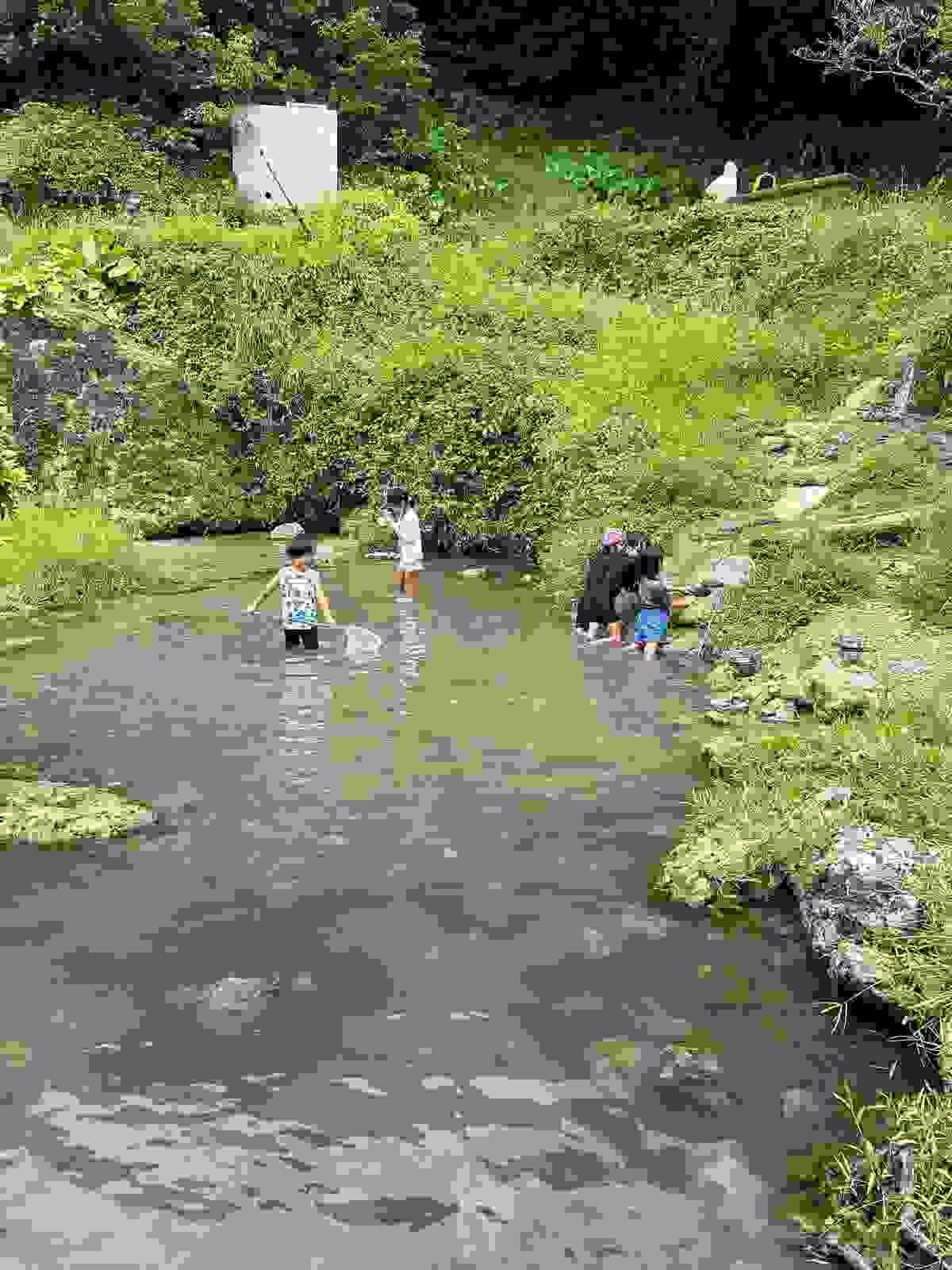 Section image