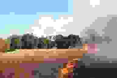broken image