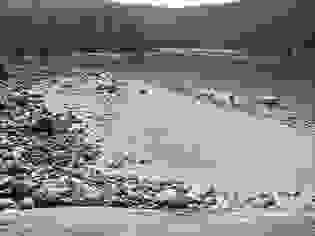 broken image