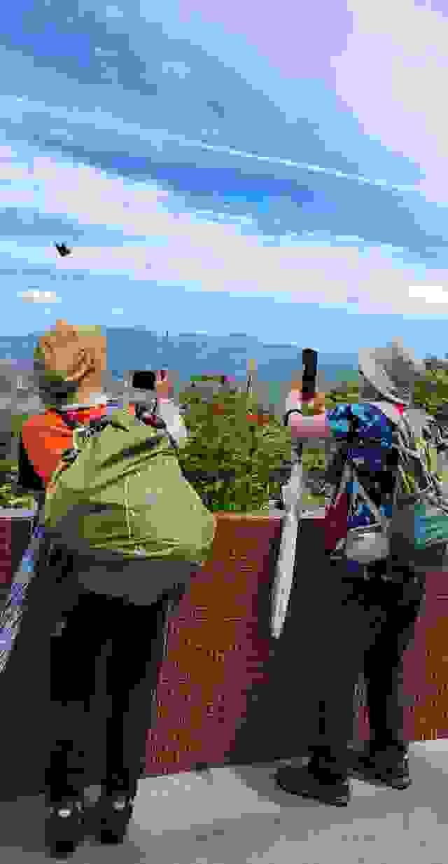 broken image