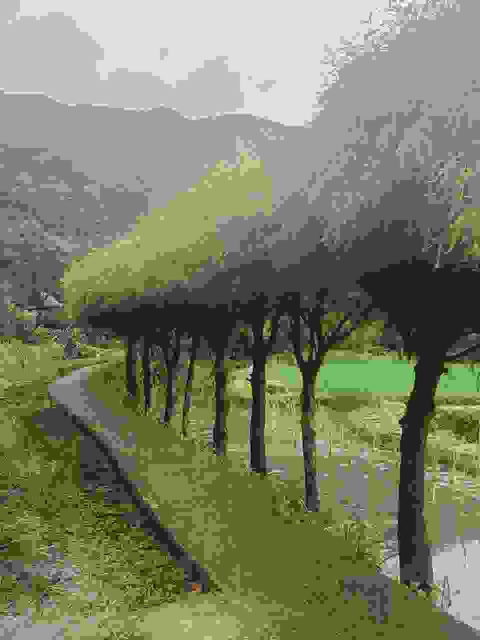 broken image