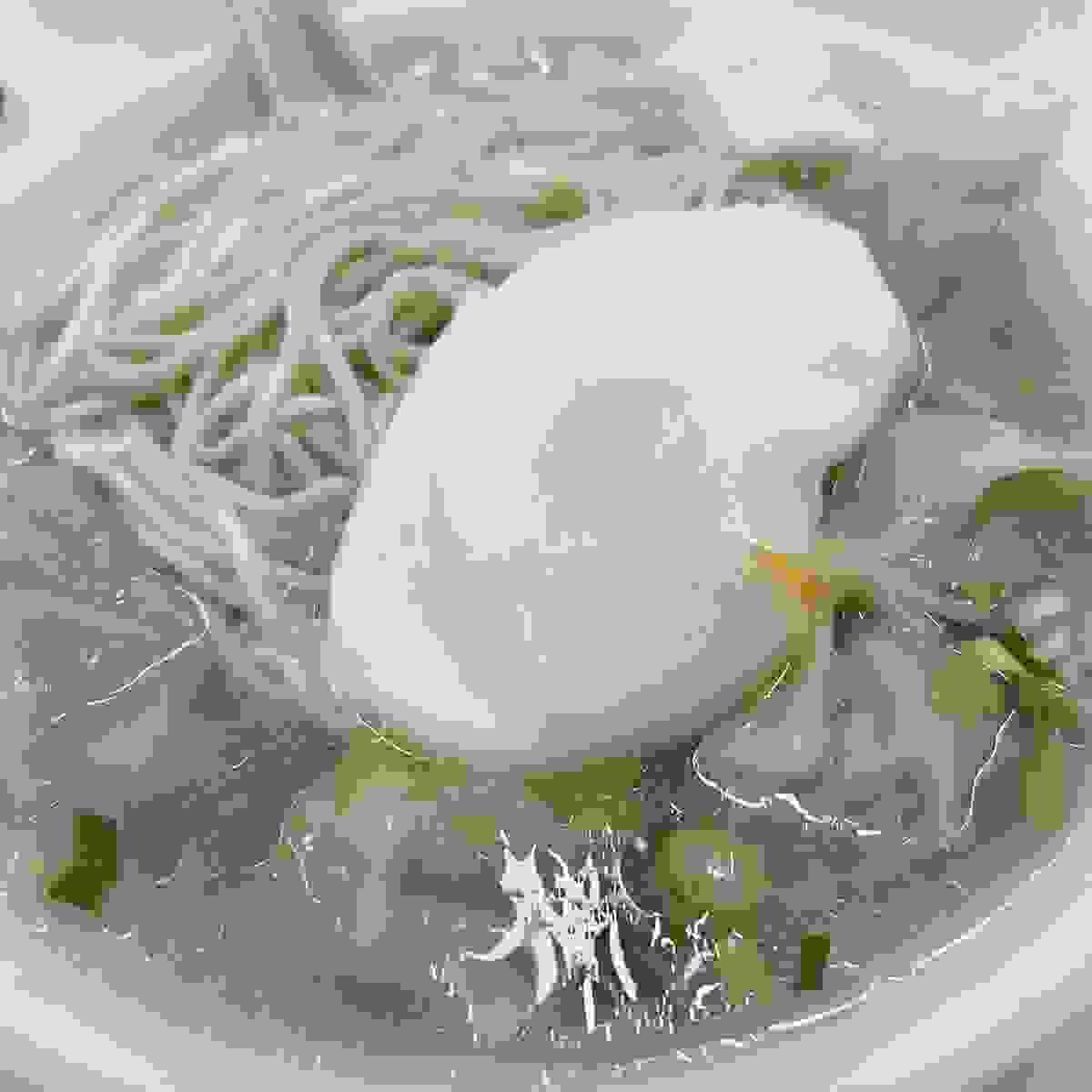 broken image