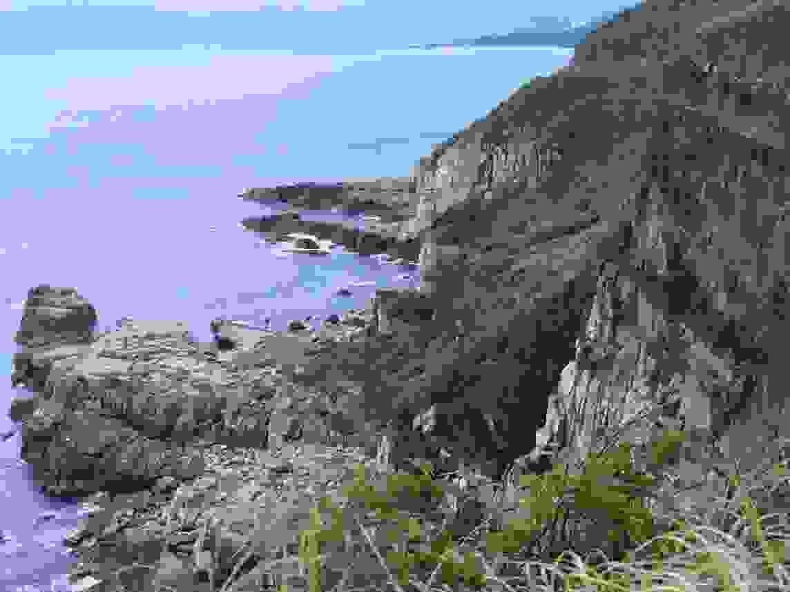 Section image