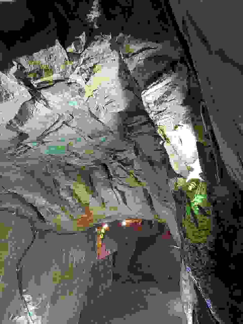 Section image
