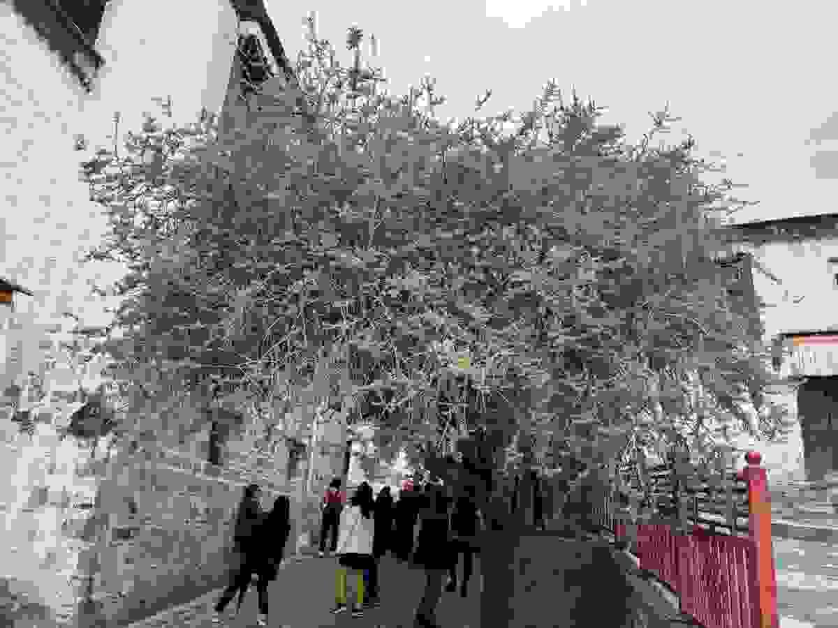 Section image